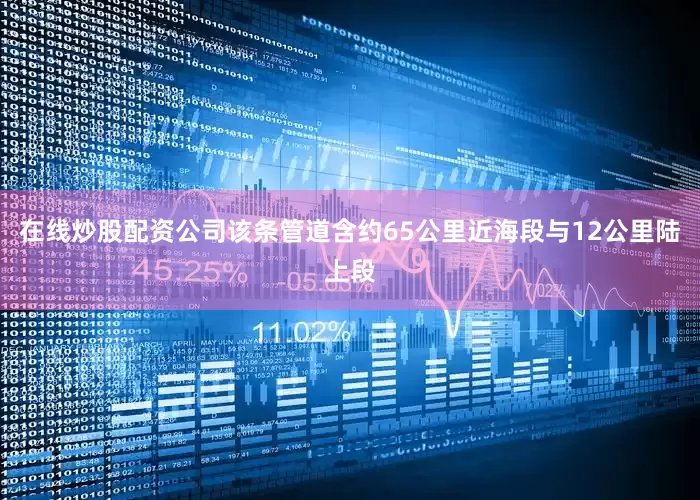 在线炒股配资公司该条管道含约65公里近海段与12公里陆上段